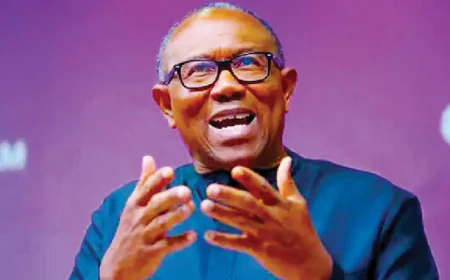Peter Obi to Contest 2027 Presidential Election Under Labour Party