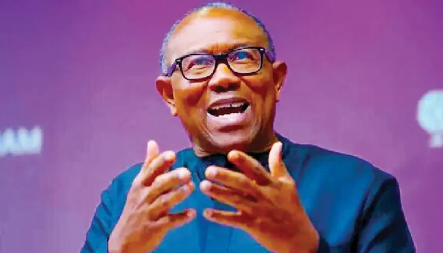 Peter Obi to Contest 2027 Presidential Election Under Labour Party