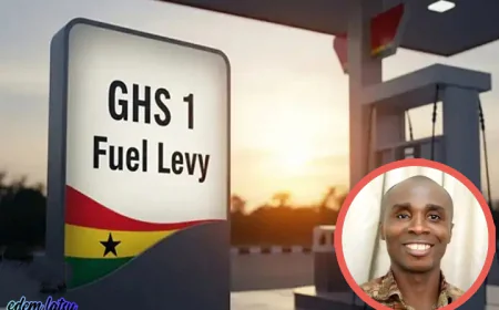GHS 1 Fuel Levy: Ghanaians Better off Accepting It - Prof. Asuming