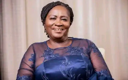 Veep Backs Legal Mechanism To Curb  Unexplained Wealth