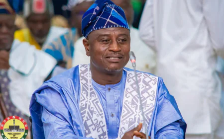 Ibrahim Tia Biography – North East Regional Minister and Public Health Finance Expert