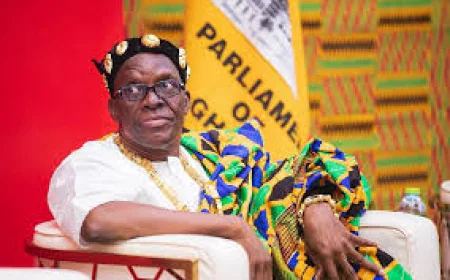 Show Us Your Wealth! Ghana's Parliament Pushes for Mandatory Lifestyle Audits