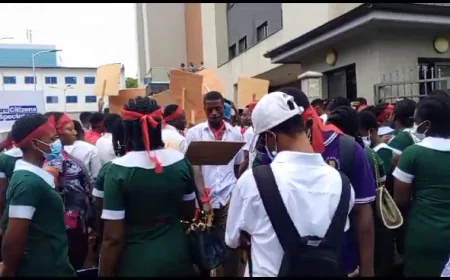 GRNMA Strike: Full List of Nurses and Midwives’ Allowances and Demands in Ghana