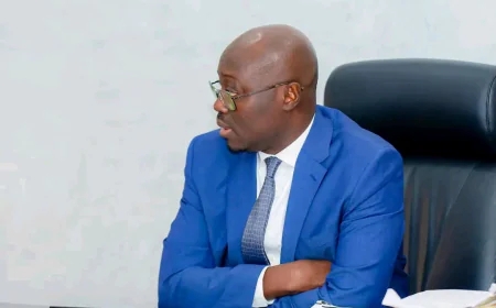 Finance Minister Uncovers Ghost Names on Government Payroll During Preliminary Audit