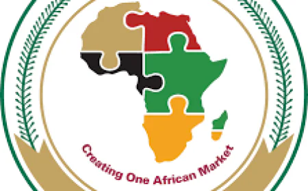 Ghana Breaks Into Africa's Top 10 Manufacturing Powerhouses