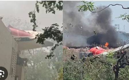 40 Year Old British National Only Survivor In India Plane Crash