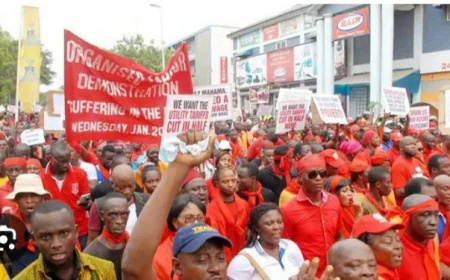 Implement Our Salaries And Conditions Of Service Or We Strike : CLOGSAG To Government