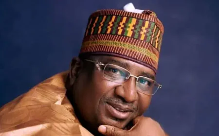 Gambia Seeks Rice Self-Sufficiency Through Kebbi Partnership