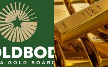 Veteran Small-Scale Miner Backs Ghana’s Proposed Gold Board to Boost Fair Trade and Transparency