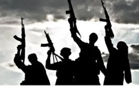 Gunmen Attack Federal Polytechnic Oko Community: Multiple Dead, Kidnappings Feared