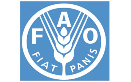 Africa Regional Representative: FAO promises to support Ghana's agriculture sector