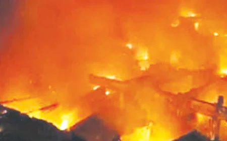 Cargo Ship Catches Fire at Apapa Port, Lagos: No Casualties Reported