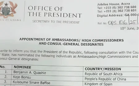 Ghana Appoints 15 New Ambassadors and High Commissioners