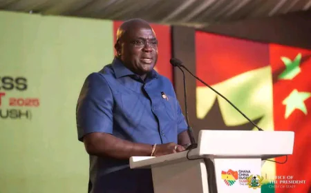 Chief of Staff Julius Debrah Graces Ghana-China Business Summit in Accra