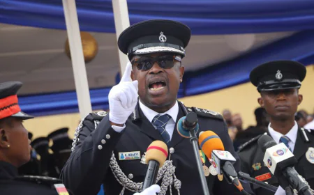 Henrietta Nana Yaa Simpson Challenges Kofi Boakye’s Appointment to Police Council