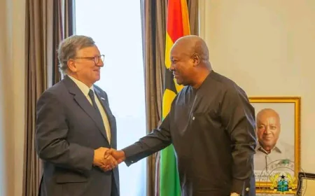 President Mahama Meets Gavi Chair and Bill Gates Ahead of Global Vaccine Pledging Summit