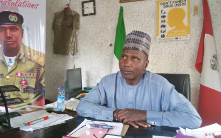 Jigawa's War on Drugs: NDLEA Seizes 1,300kg in Q2 2025!