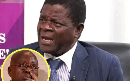 Akufo-Addo’s Leadership Has Torn NPP Apart — Constitutional Lawyer Alleges