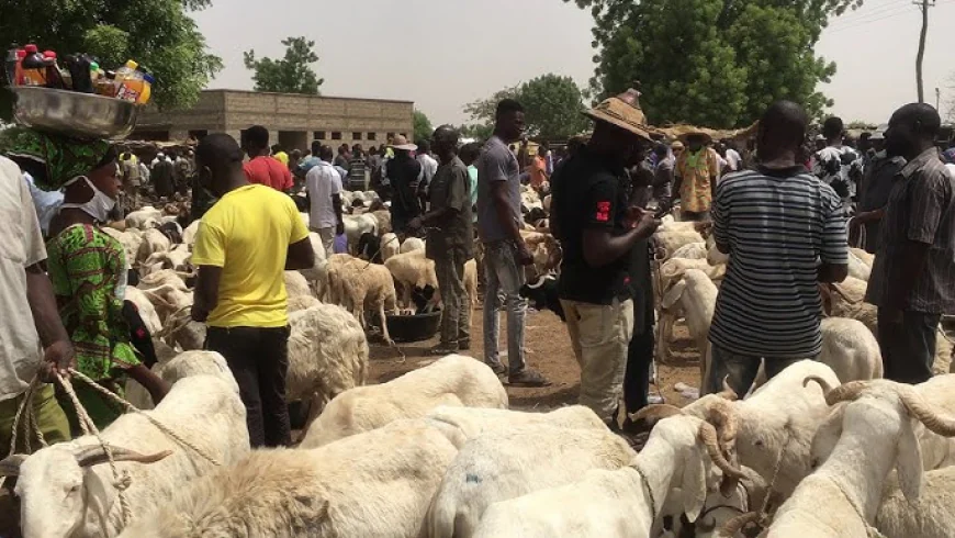  Livestock dealers have very low sales amid Eid-ul-Adha