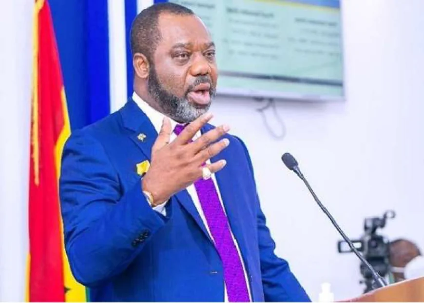 NAPO Biography: From Royal Roots to Ghana’s Vice-Presidential Candidate