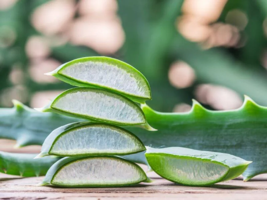 10 Simple Home Remedies to Curb Dandruff Naturally and Effectively