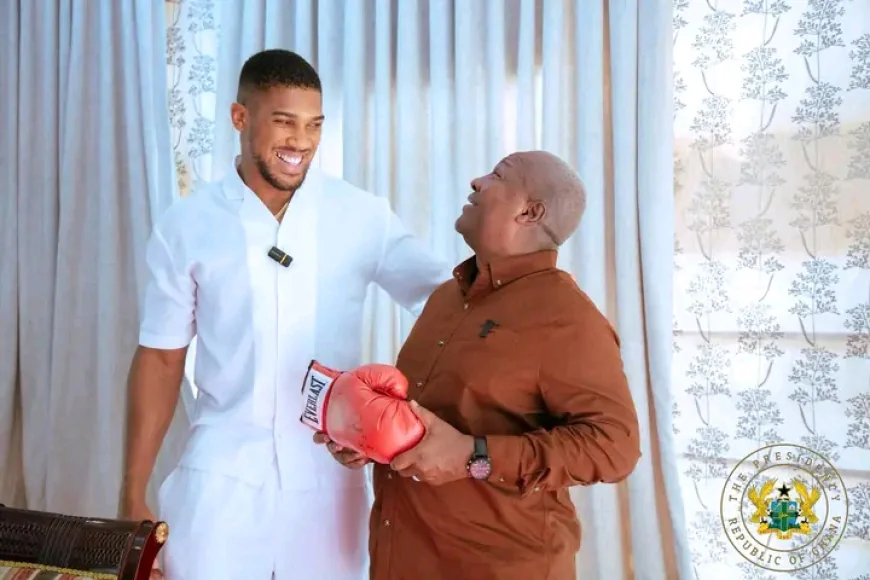 British Boxing Champion Anthony Joshua Pays Courtesy Call on President Mahama