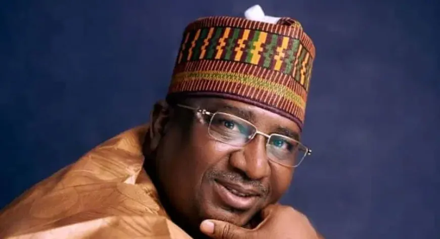 Gambia Seeks Rice Self-Sufficiency Through Kebbi Partnership