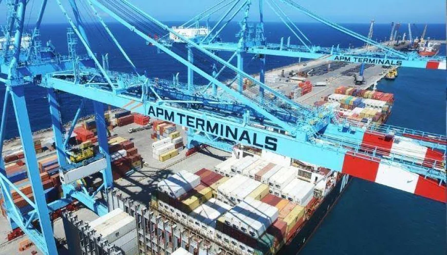 APM Terminals Apapa Welcomes West Africa's First LNG-Powered Containership