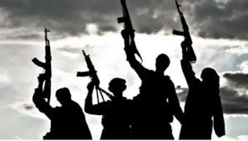 Gunmen Attack Federal Polytechnic Oko Community: Multiple Dead, Kidnappings Feared