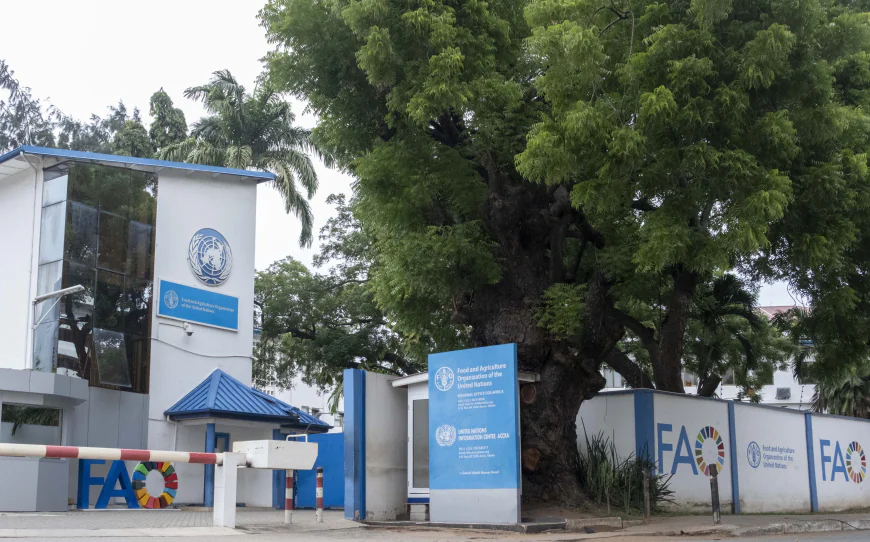 Africa Regional Representative: FAO promises to support Ghana's agriculture sector