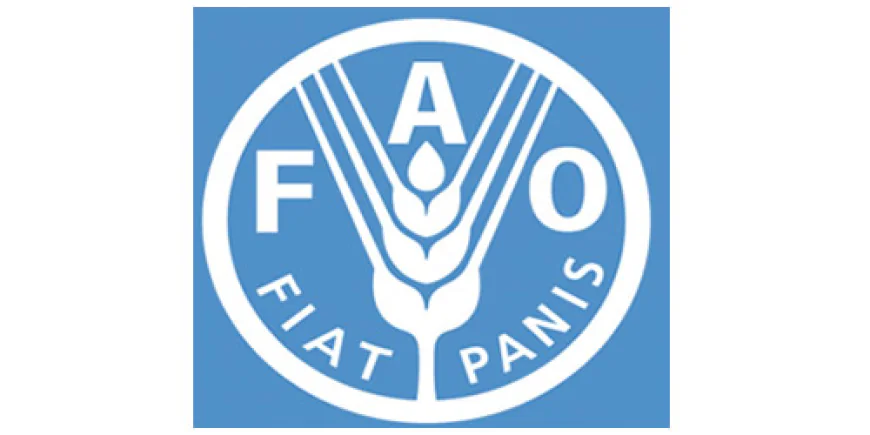 Africa Regional Representative: FAO promises to support Ghana's agriculture sector