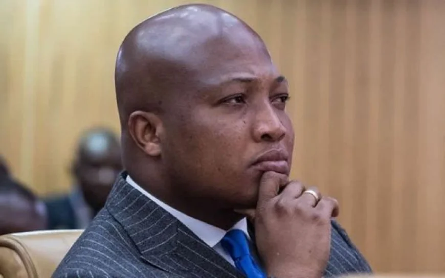Samuel Okudzeto Ablakwa Biography : From Student Activist to Foreign Affairs Minister