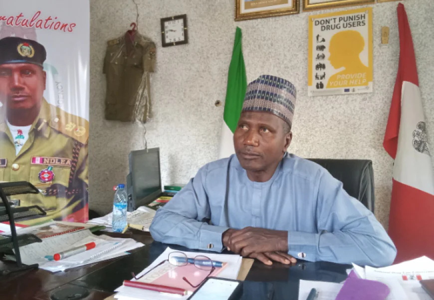 Jigawa's War on Drugs: NDLEA Seizes 1,300kg in Q2 2025!