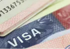 Visa Appointments Are Taking 8 Months — Here's the Secret Hack to Book One in 3 Days