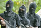 Abductors Threaten to Kill Six Nigerian Law School Students Over Ransom