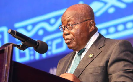 Akufo-Addo Renews Push for African-Led Credit Rating Agency