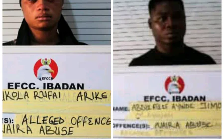 Influencers Fined for Naira Abuse After Viral TikTok Video