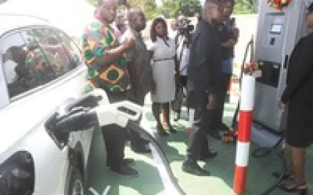 Ministers and Government agencies scheduled to begin using electric vehicles — Minister Jinapor