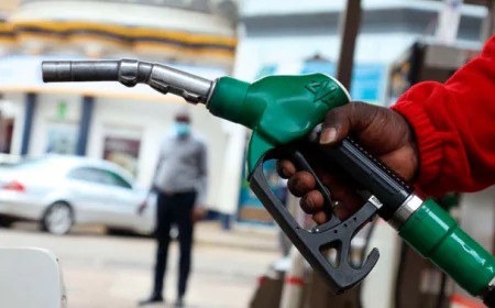 Experts Endorse newly approved Fuel Levy, set to take effect on July,16.