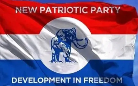NPP Bans Campaign Materials Ahead of 2025 Delegates Conference