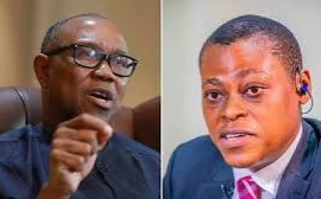 Rufai Oseni Dares Politicians: Show Land Rejection Letters Like Peter Obi