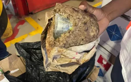 NACOC Seizes Major Cannabis Shipment at Accra Airport, Two Suspects Declared Wanted