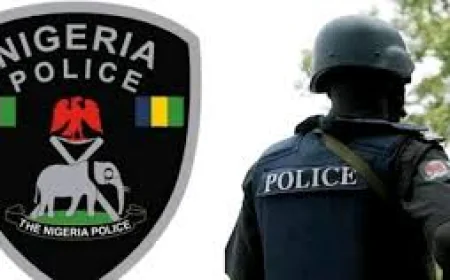 Kebbi State Police Arrest 11 Men for Alleged Sexual Assault of 13-Year-Old Girl