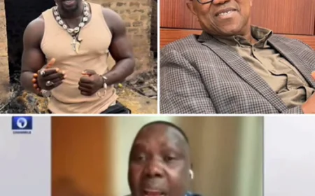 Presidential Aide Slams Peter Obi: Very Dark Man Shows More Empathy Than You