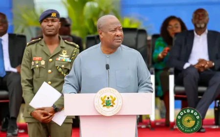 Mahama Launches GoldBod Taskforce with 10% Reward for Whistle-blowers