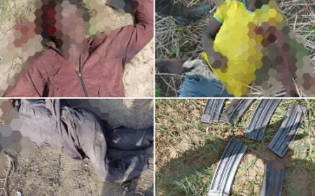 Nigerian Troops Neutralize Boko Haram Terrorists in Borno State Clearance Operation