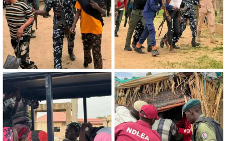 Yobe Launches Crackdown on Drug Hotspots in Damaturu, Dozens Arrested in Major Raid