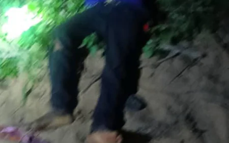 Troops Neutralize Two Bandits, Recover Arms in Plateau State Operation