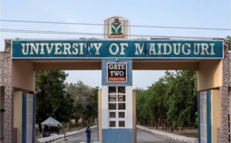 Tinubu Renames University of Maiduguri in Honour of Muhammadu Buhari
