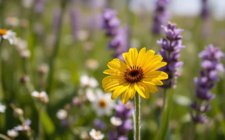 One Flower Does Not Make a Garland: Understanding the Power of Collective Effort